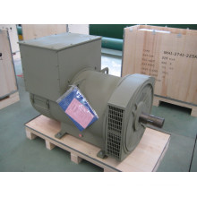 240kw Three Phase Brushless Alternator